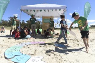 Actividades cuidado de playas Actividades cuidado de playas