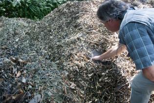 Compost Compost