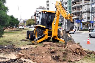 Extracción arbolado Extracción arbolado
