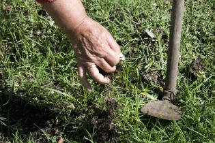 Jardinería Curso de jardinería en Cedel Carrasco Norte