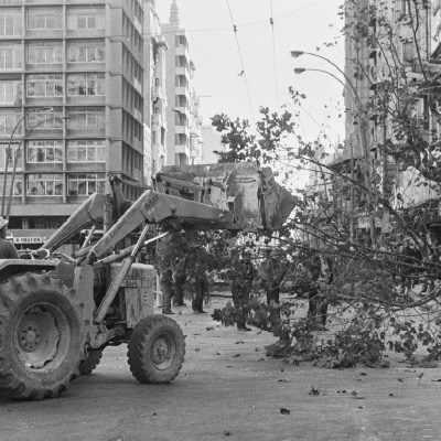 Una retroexcavadora arranca un árbol en Avenida 18 de Julio.