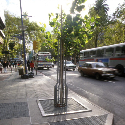 Un árbol nuevo plantado en Avenida 18 de Julio a pocos metros de la Plaza Cagancha.