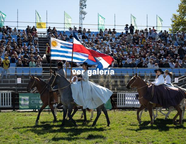 Semana Criolla 2025