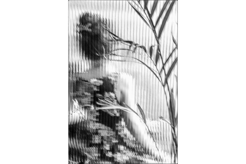 Susurro Onírico. Montevideo, 2019. Toma única. Autora: Cecilia Pellegrin.