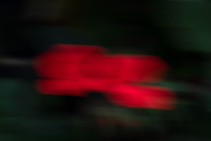 Flor movida roja. Patio. Montevideo, Nuevo París, 20 de agosto de 2023.