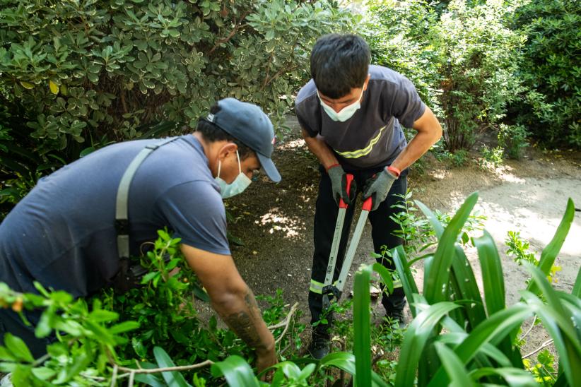 Inicio de proyecto de reformulación de plaza Matriz