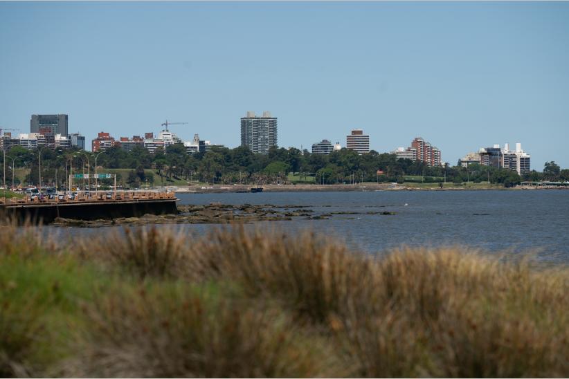 Proyecto de apertura del parque Mauá