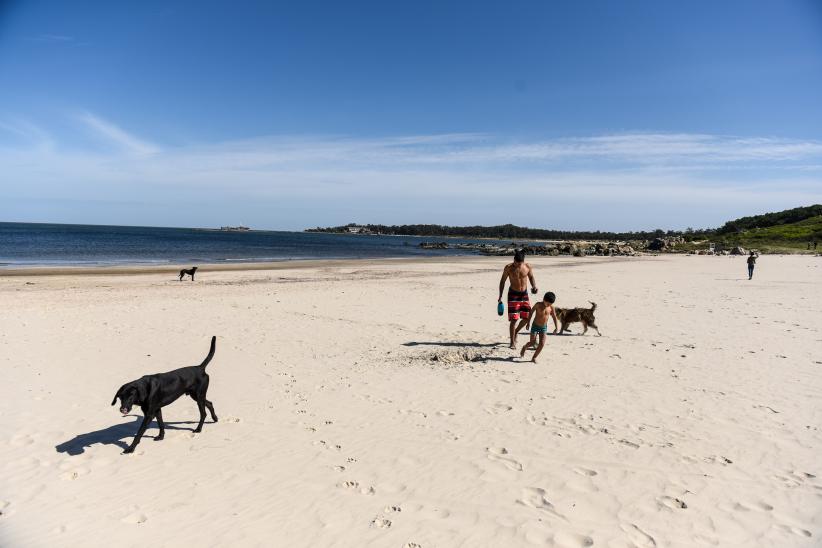 Jornada de limpieza en playa Santa Catalina en el marco del Día de la Tierra