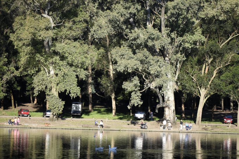 Parque Rivera