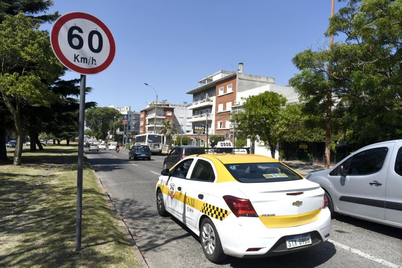 Señalización Avenida Italia