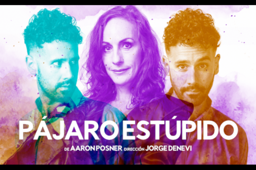Afiche de difusión de Pájaro Estúpido