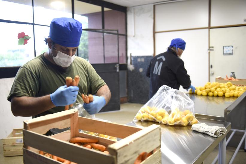 Manipulación de alimentos 