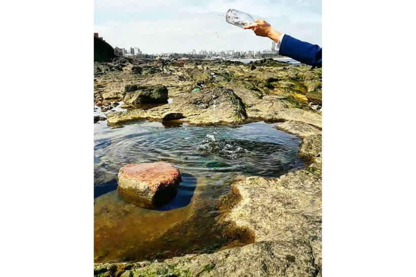 Una foto hacia el futuro, concurso del Equipo Técnico de Educación Ambiental
