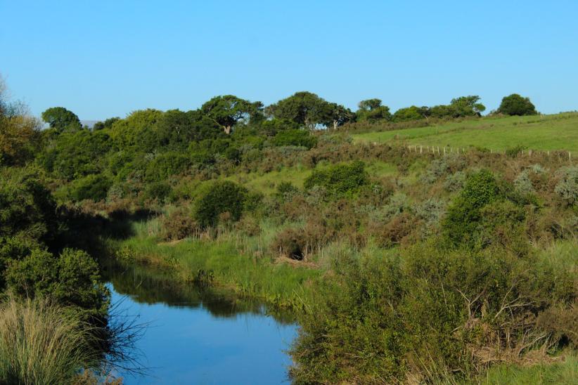 Una foto hacia el futuro, concurso del Equipo Técnico de Educación Ambiental