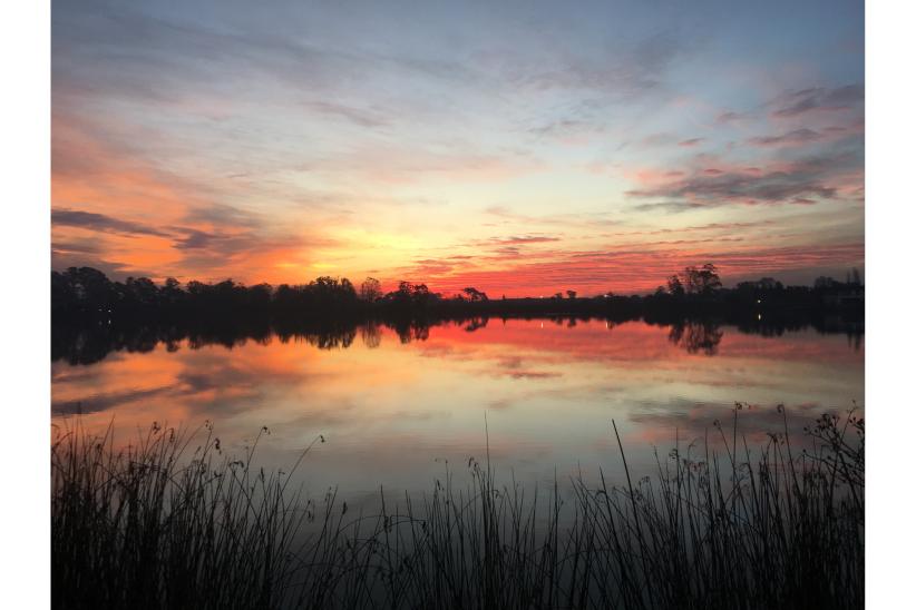 Una foto hacia el futuro, concurso del Equipo Técnico de Educación Ambiental