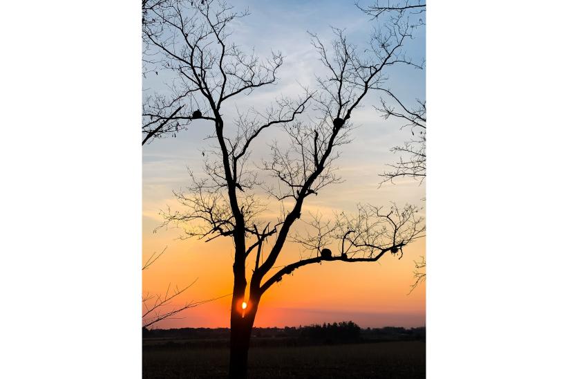 Una foto hacia el futuro, concurso del Equipo Técnico de Educación Ambiental