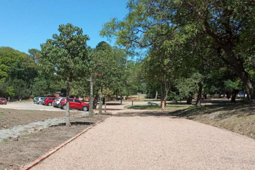 Veredas en Parque Batlle
