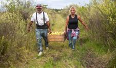  Donación de manzanas en ayuda al Plan ABC
