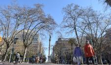 Paseo peatonal en Av. 18 de Julio