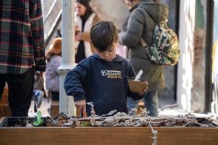 Actividades por vacaciones de julio en Quinta Storace 