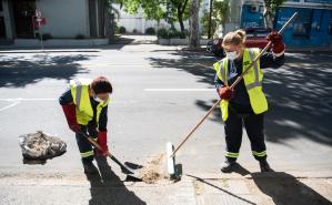Barrido especial por pelusa de plátanos en Avenida San Martín
