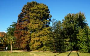 jardin botanico