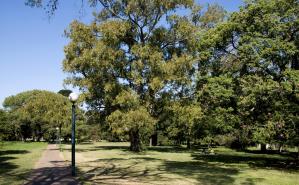 Parque Batlle