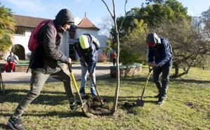 Personas plantando un árbol