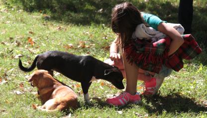 Niña en un espacio verde acariciando a dos perros
