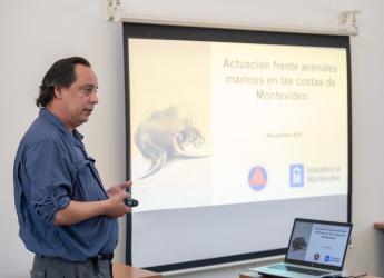 Capacitación a guardavidas para actuar ante la presencia de ani