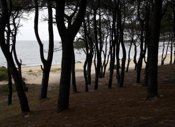 Senderismo con el colectivo Carancho y Fuego en el Parque Público Punta Yeguas