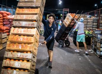  Mercado Modelo