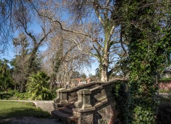 Jardín Botánico. Atrás, avenida Atilio Pelosi