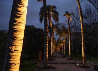 Iluminación en el Jardín Botánico