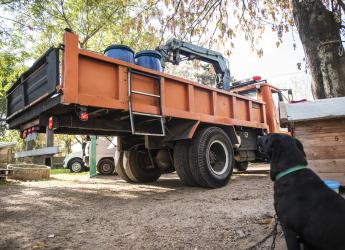 Distribución de agua en refugio de animales