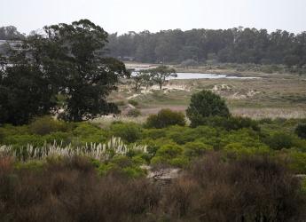 Parque Público Punta Yeguas