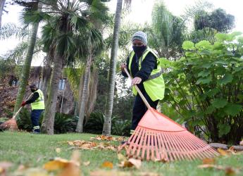 Trabajos en Jardín Botánico en el marco del Programa ABC Oportunidad Trabajo