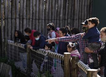 Parque Villa Dolores