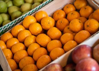 Actividades por el Día Mundial de la Inocuidad Alimentaria en la explanada de la Intendencia de Montevideo, 07 de junio de 2022