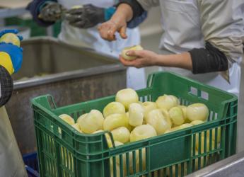 Servicio de Regulación Alimentaria visita emprendimientos rurales para asesoramiento y apoyo