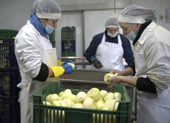 Visita del Servicio de Regulación Alimentaria a emprendimientos rurales para asesoramiento y apoyo