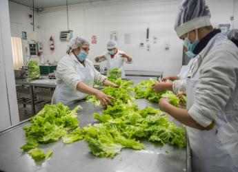 Servicio de Regulación Alimentaria visita emprendimientos rurales para asesoramiento y apoyo