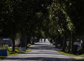 Cementerio del Cerro