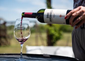 Recorrida por bodega Dardanelli