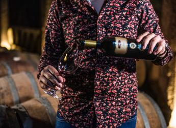 Recorrida por bodega Carrau