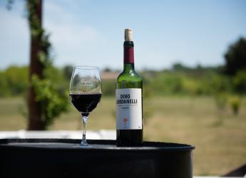 Bodega Dardanelli 