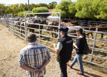 Recorrida con Facultad de Veterinaria, UDELAR, en la Semana Criolla del Prado 2023 