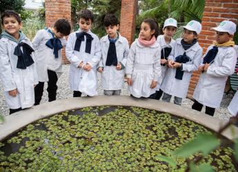 Remodelación del vivero y semillero Quinta Storacce