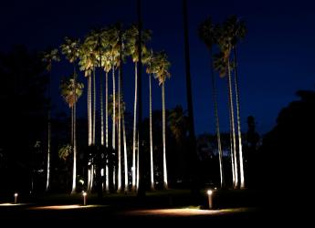 Montevideo avanza en iluminación: luminarias en el Jardín Botánico