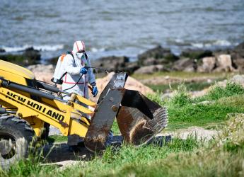Operativo de CECOED en playa Verde por prevención de gripe aviar